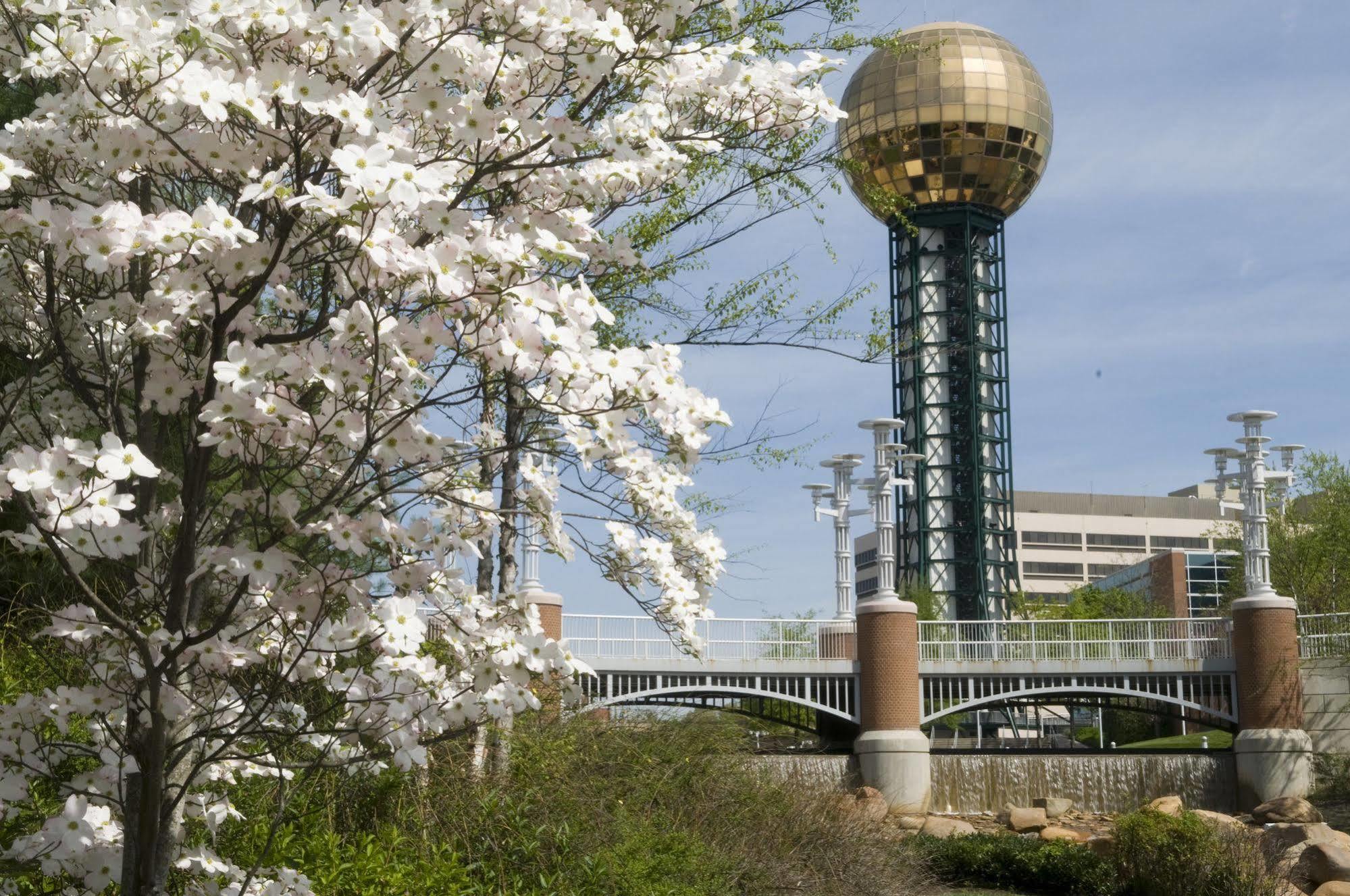 The Tennessean Personal Luxury Hotel Knoxville Zewnętrze zdjęcie
